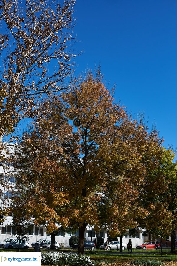 Őszi fények a belvárosban