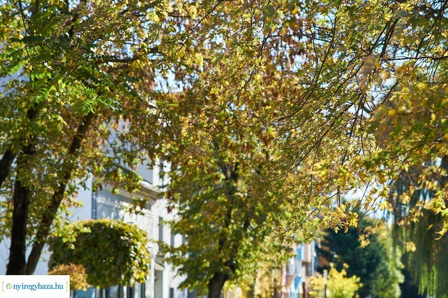 Őszi fények a belvárosban