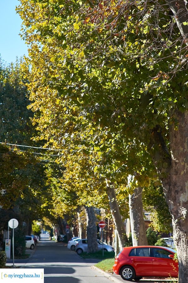 Őszi fények a belvárosban