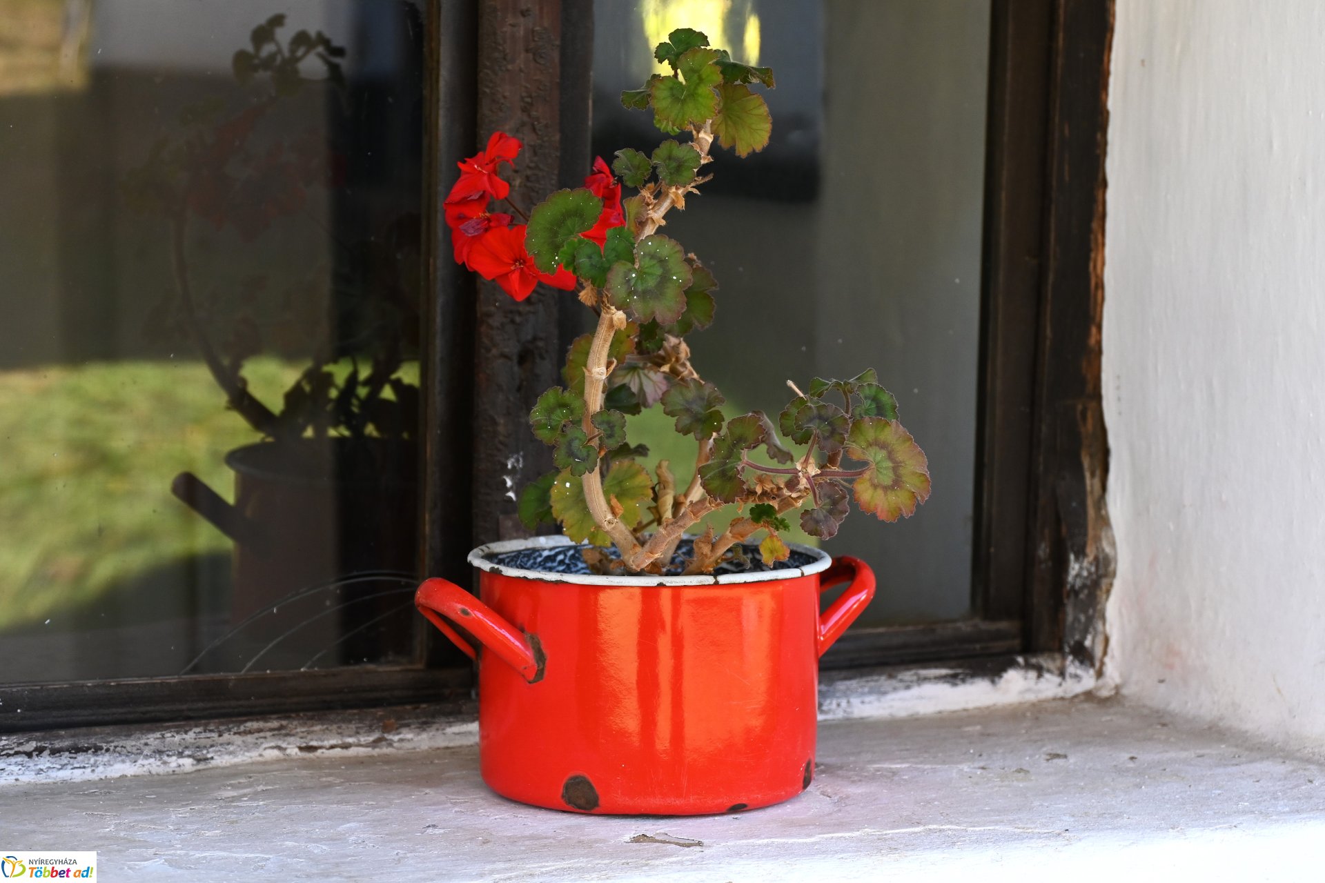 Őszi napsütésben a Sóstói Múzeumfalu
