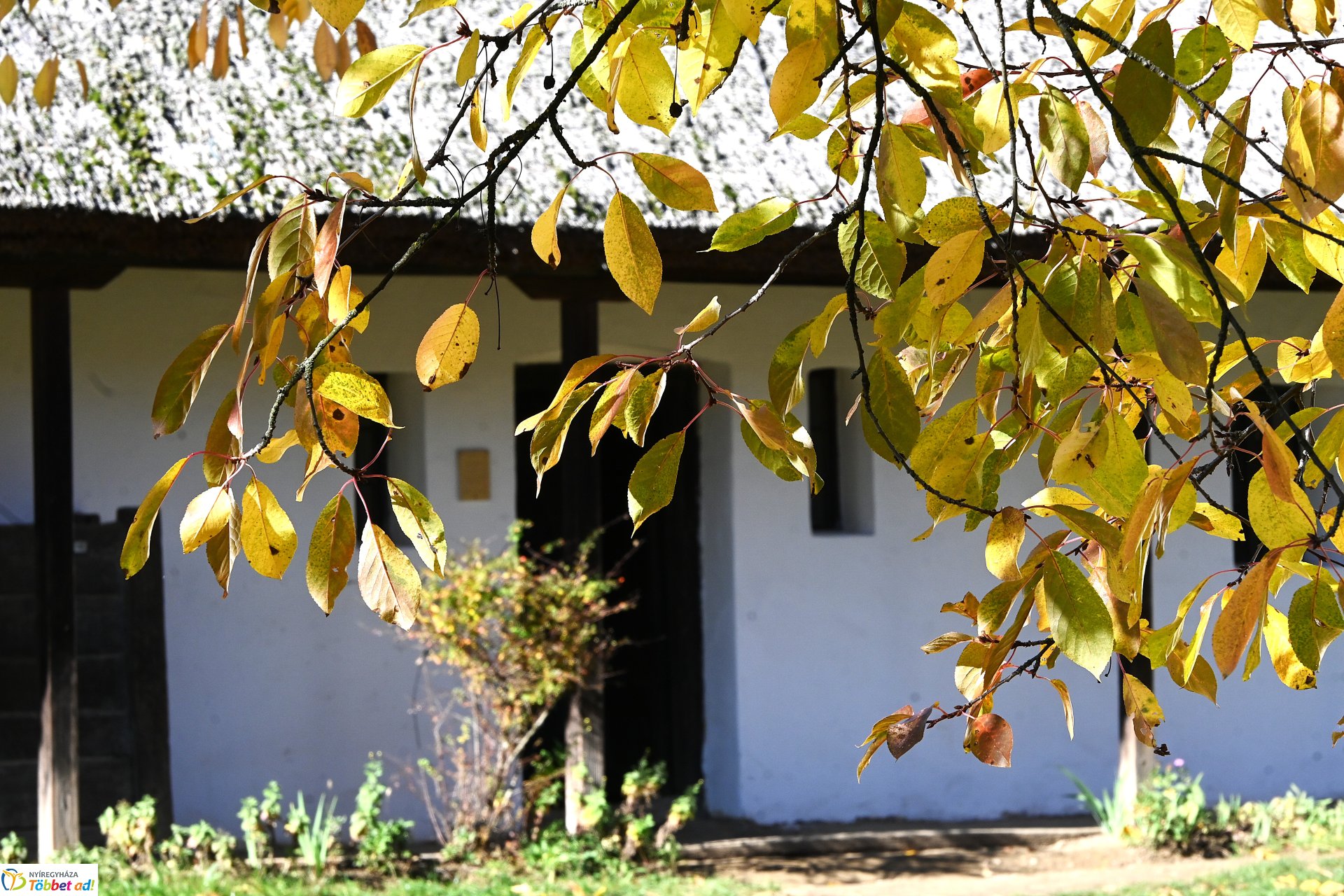 Őszi napsütésben a Sóstói Múzeumfalu