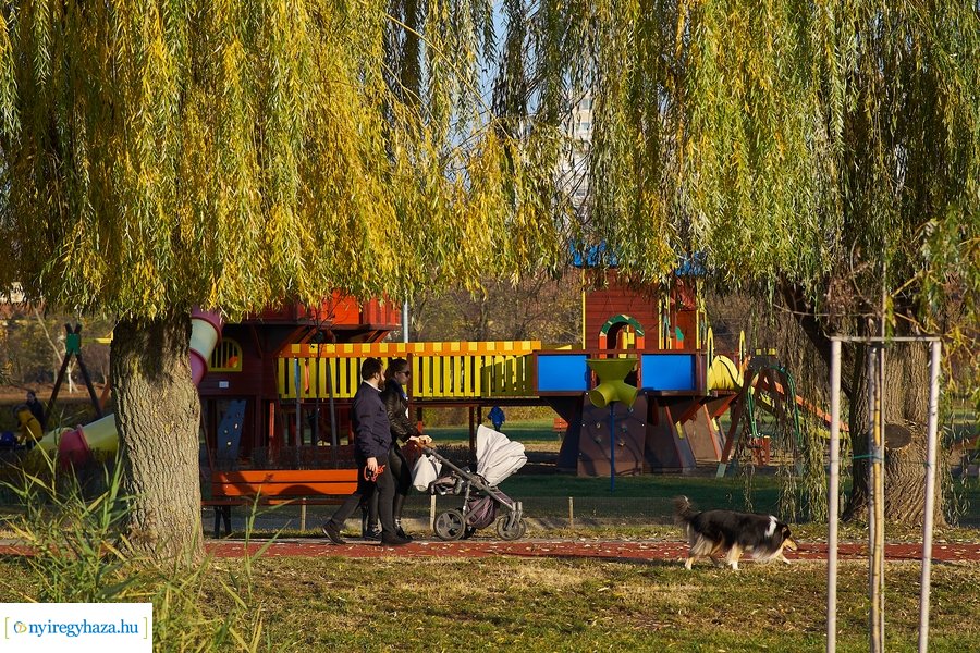 Őszi pillanatok a Bujtosi Városligetben