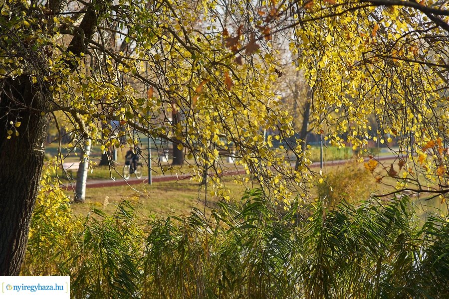Őszi pillanatok a Bujtosi Városligetben