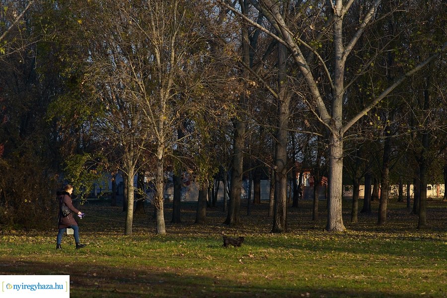 Őszi pillanatok a Bujtosi Városligetben