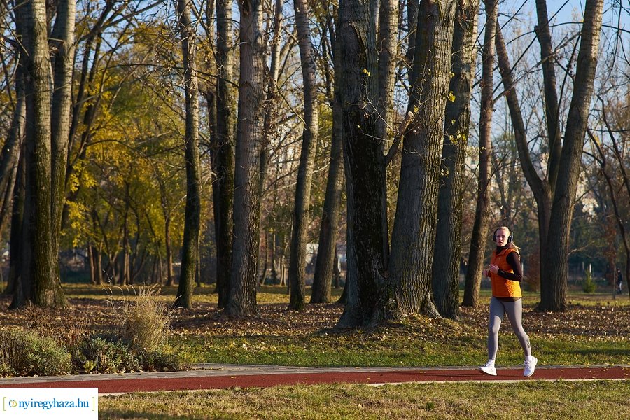 Őszi pillanatok a Bujtosi Városligetben