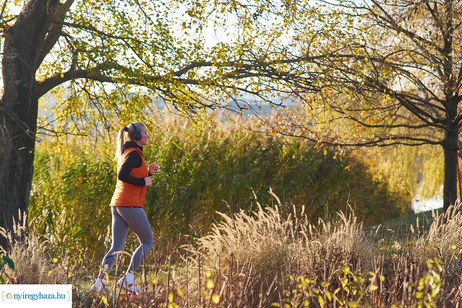 Őszi pillanatok a Bujtosi Városligetben