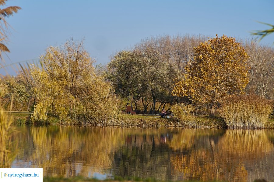 Őszi pillanatok a Bujtosi Városligetben