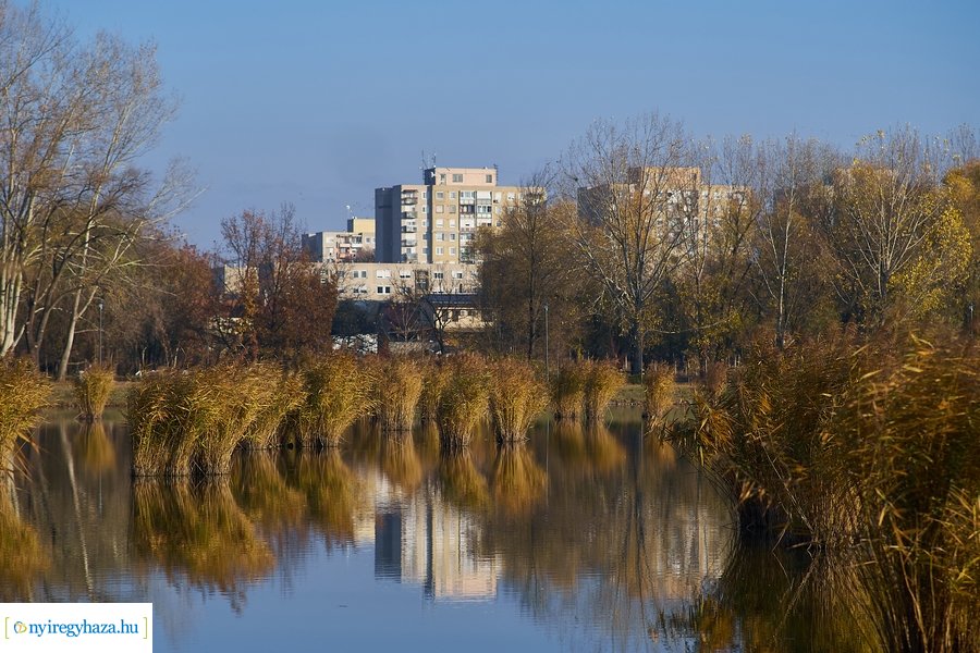 Őszi pillanatok a Bujtosi Városligetben