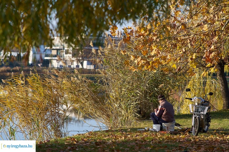 Őszi pillanatok a Bujtosi Városligetben