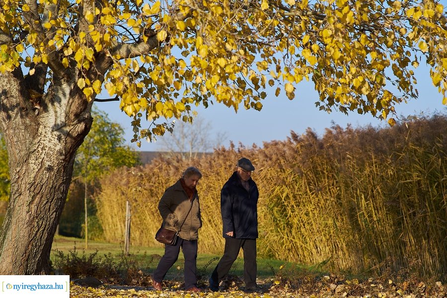 Őszi pillanatok a Bujtosi Városligetben