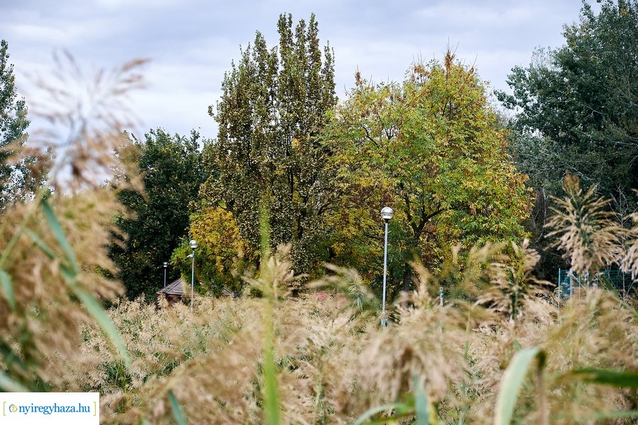 Őszi pillanatok Sóstón 20201012