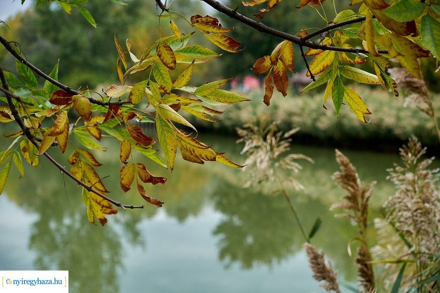 Őszi pillanatok Sóstón 20201012