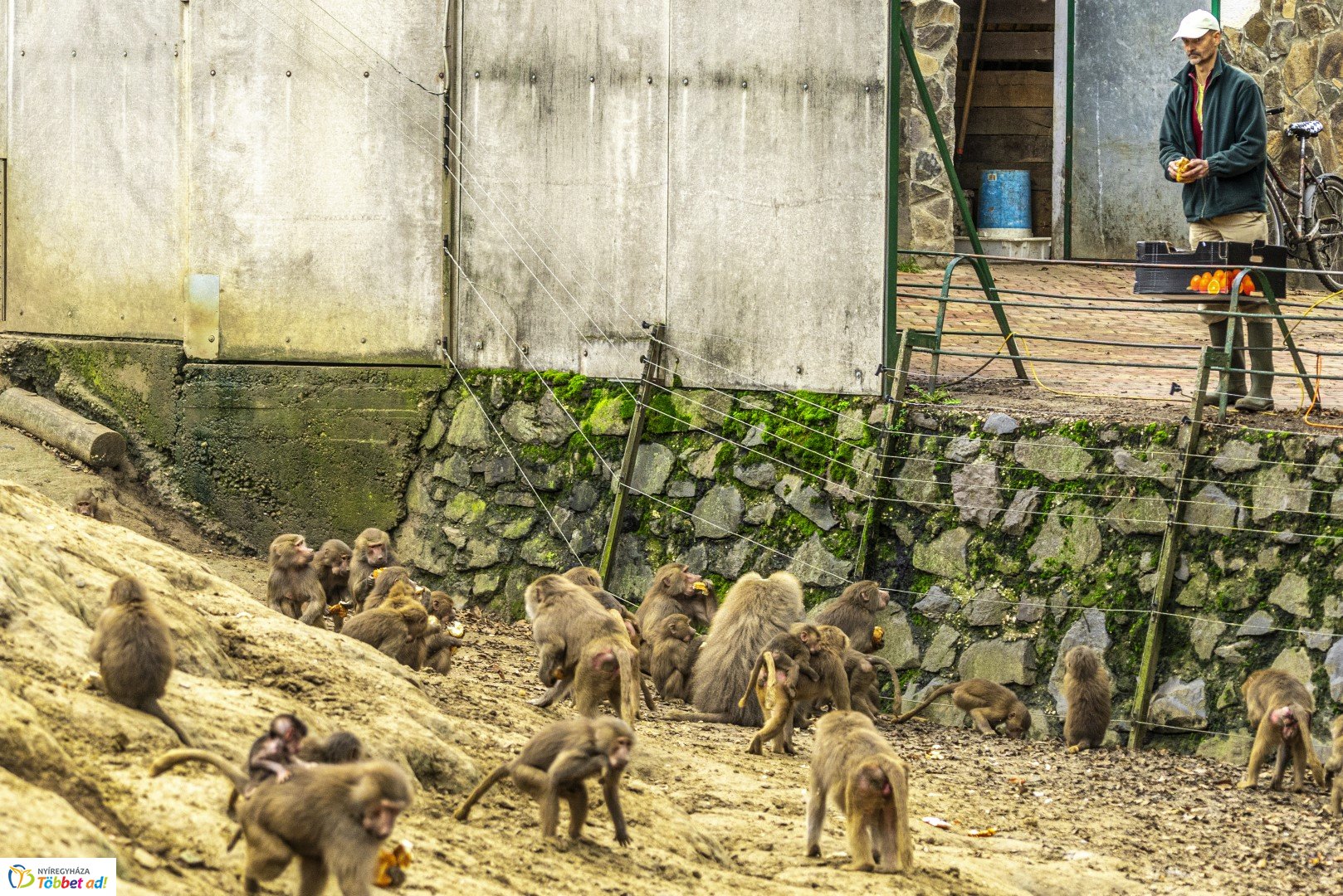 Őszi séta az Nyíregyházi Állatparkban