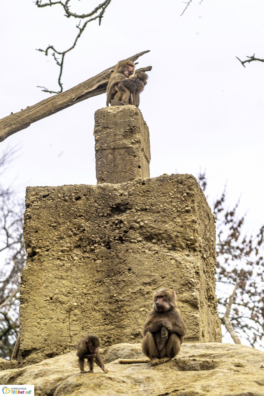 Őszi séta az Nyíregyházi Állatparkban