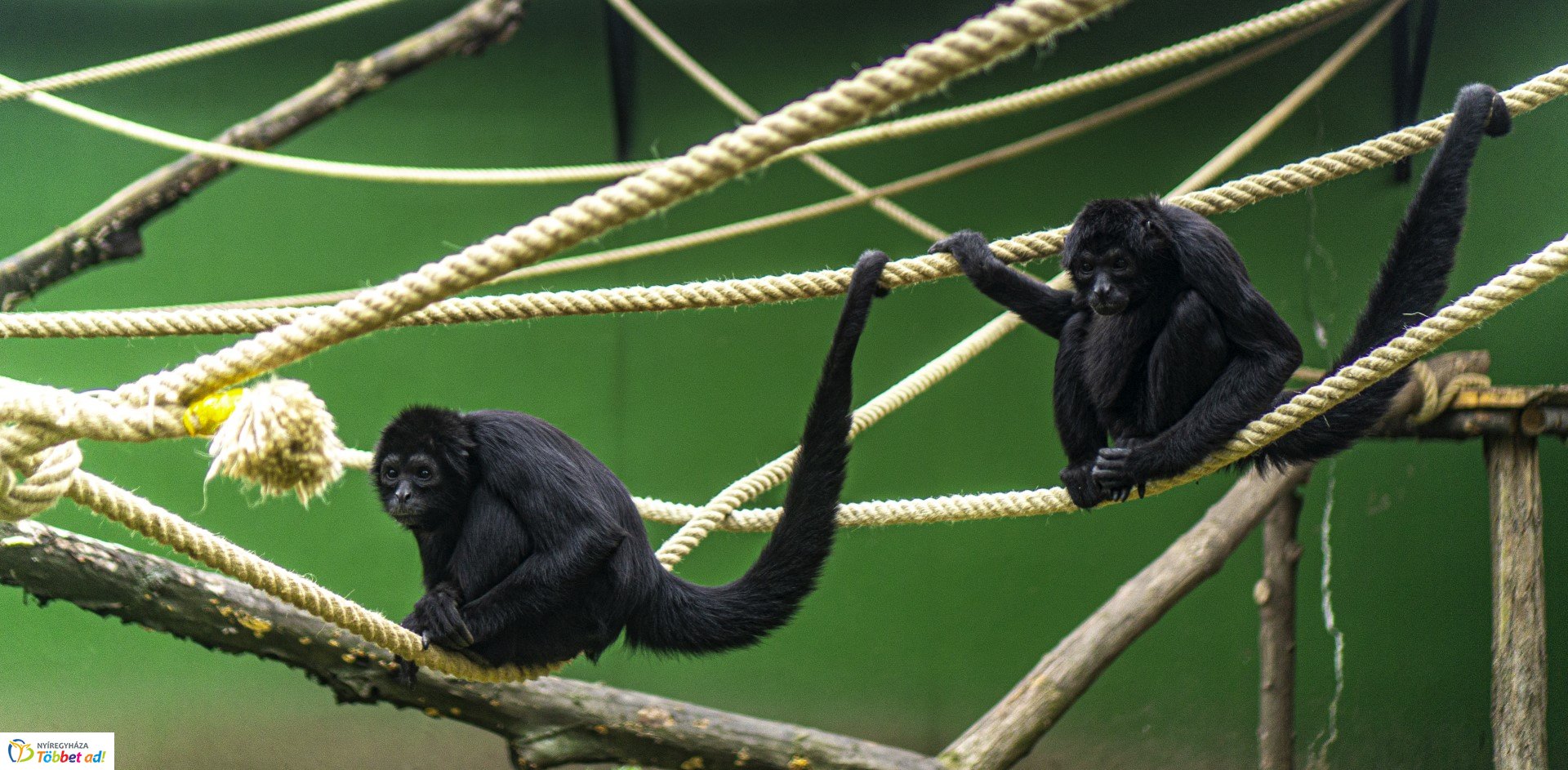 Őszi séta az Nyíregyházi Állatparkban