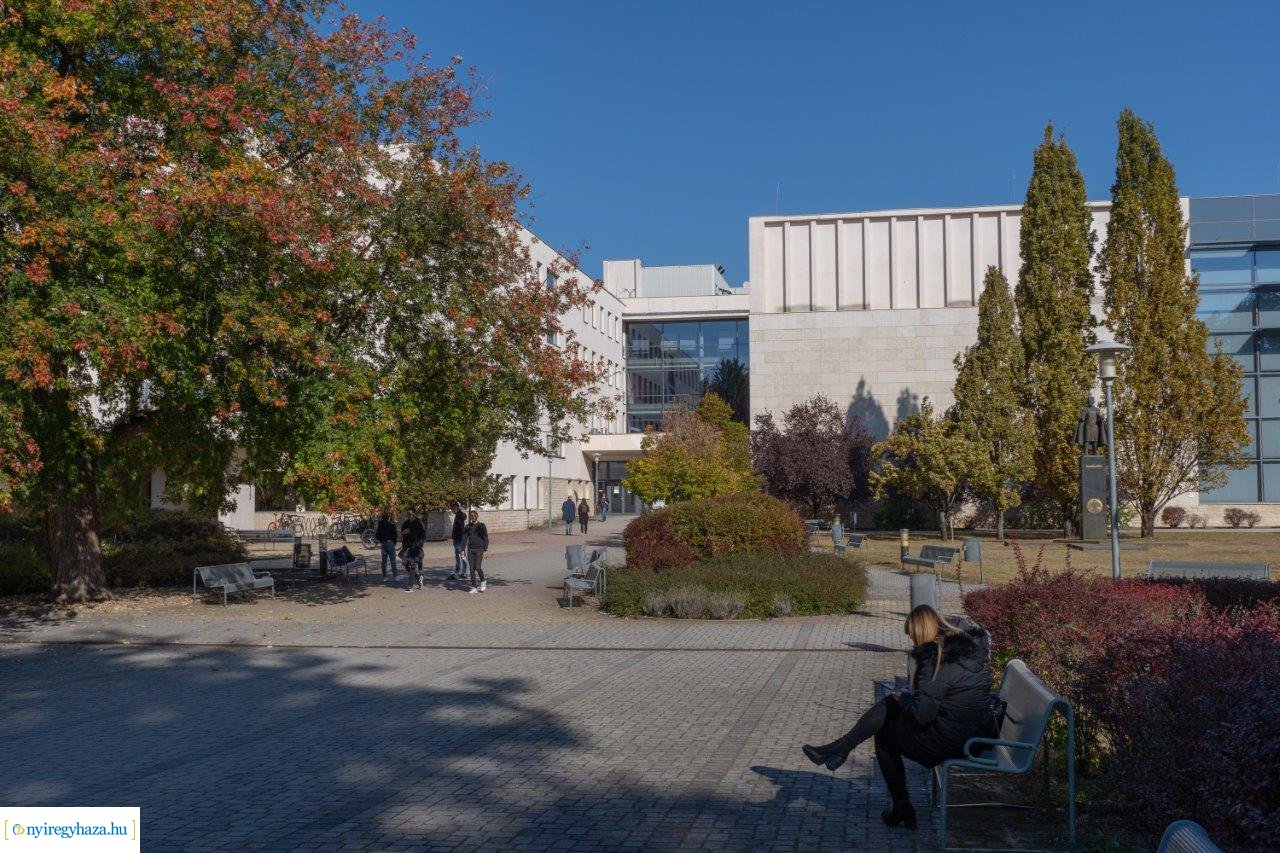 Őszi színek az egyetemen