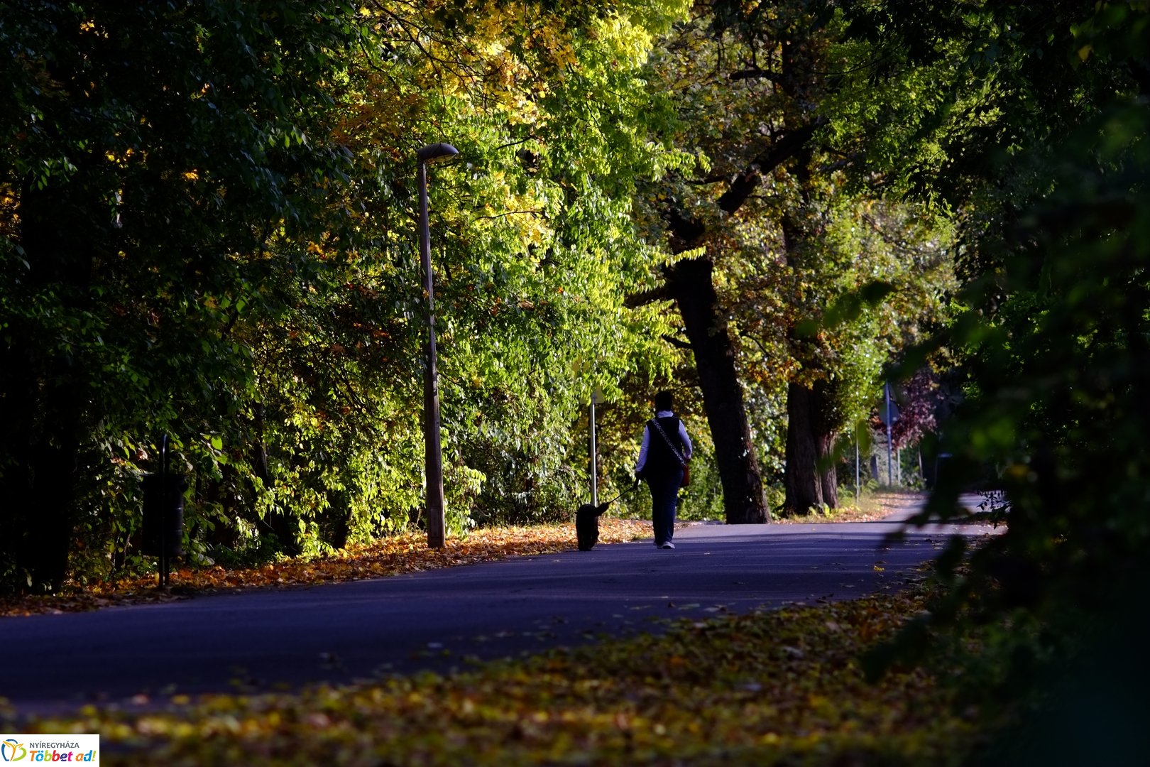 Őszies Sóstói Múzeumfalu - 2025