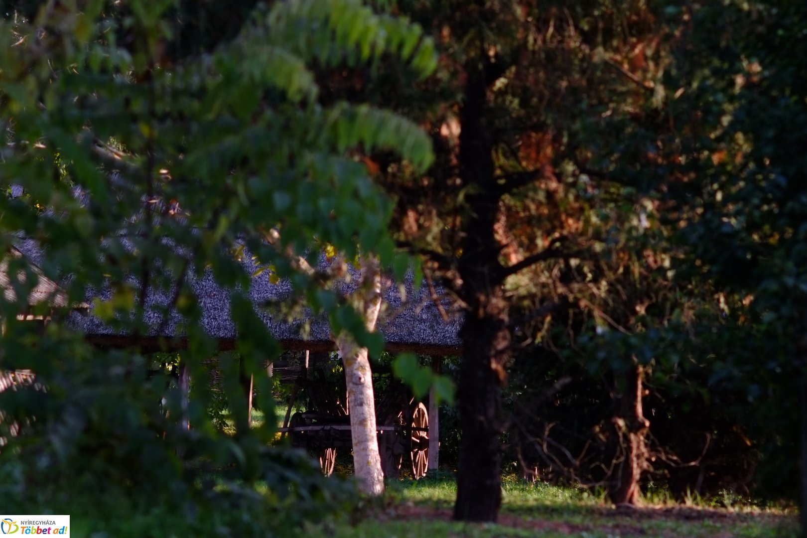 Őszies Sóstói Múzeumfalu - 2025