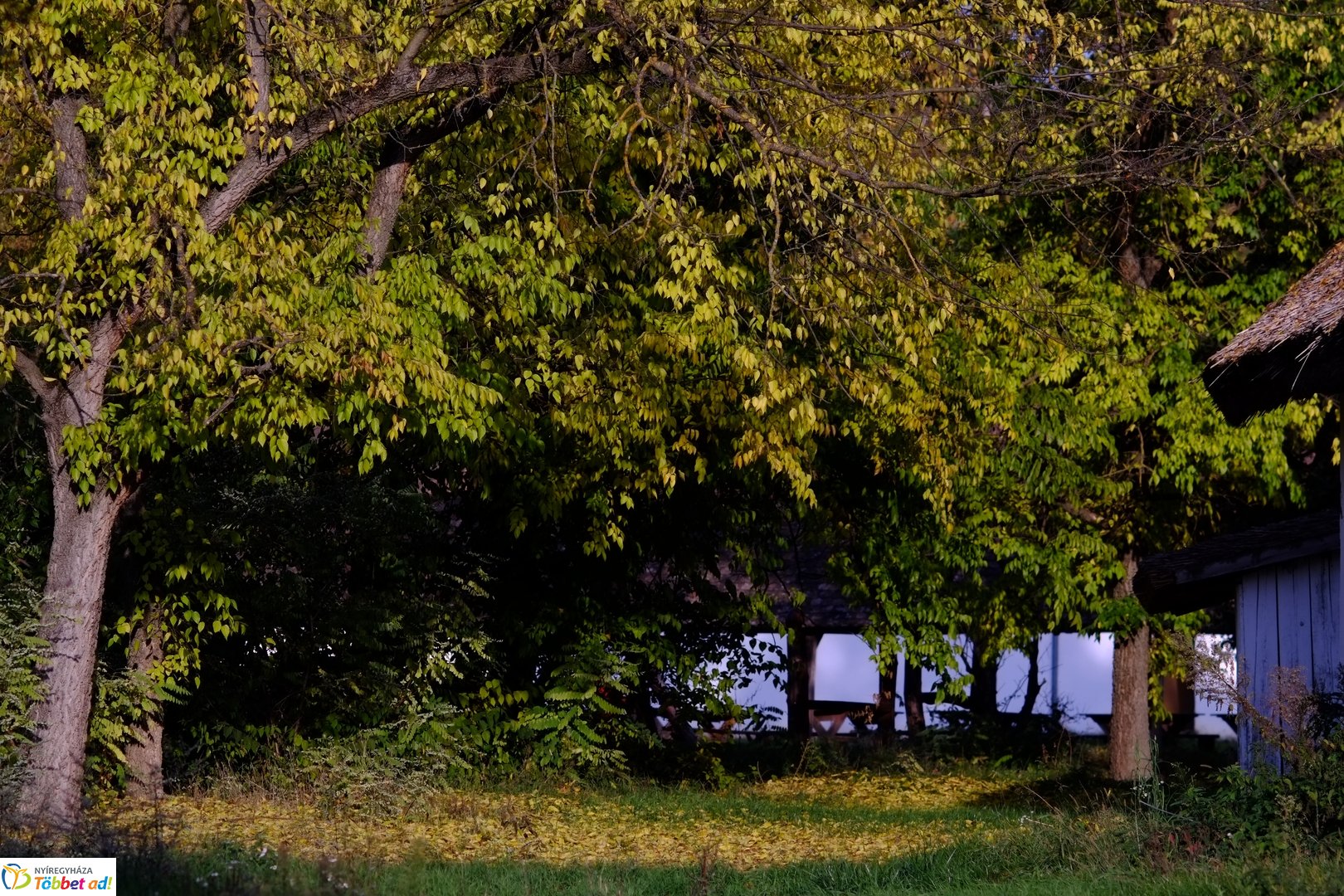 Őszies Sóstói Múzeumfalu - 2025