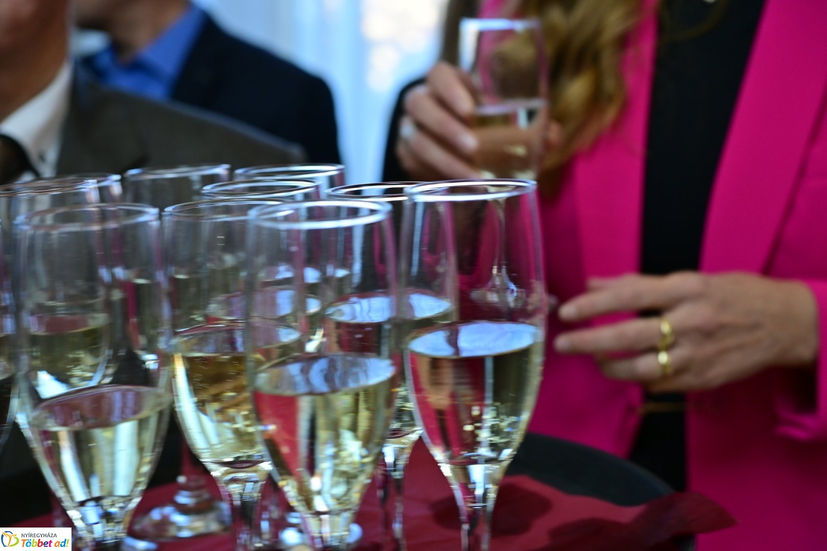 Osztrák Köztársaság ünnepe a Városházán 2025