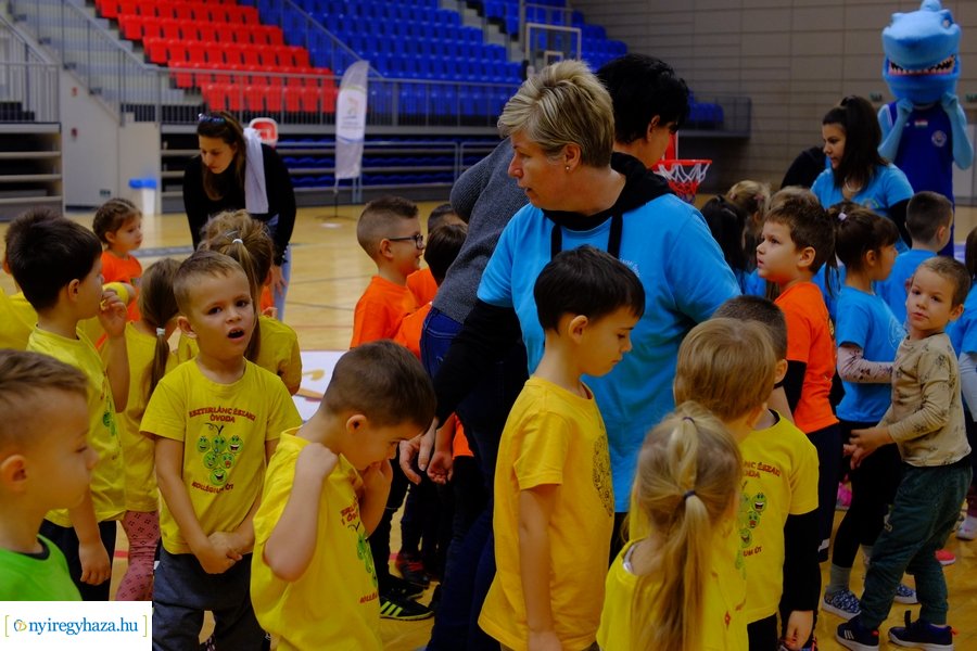 Ovi-Kosár Kupa 2023