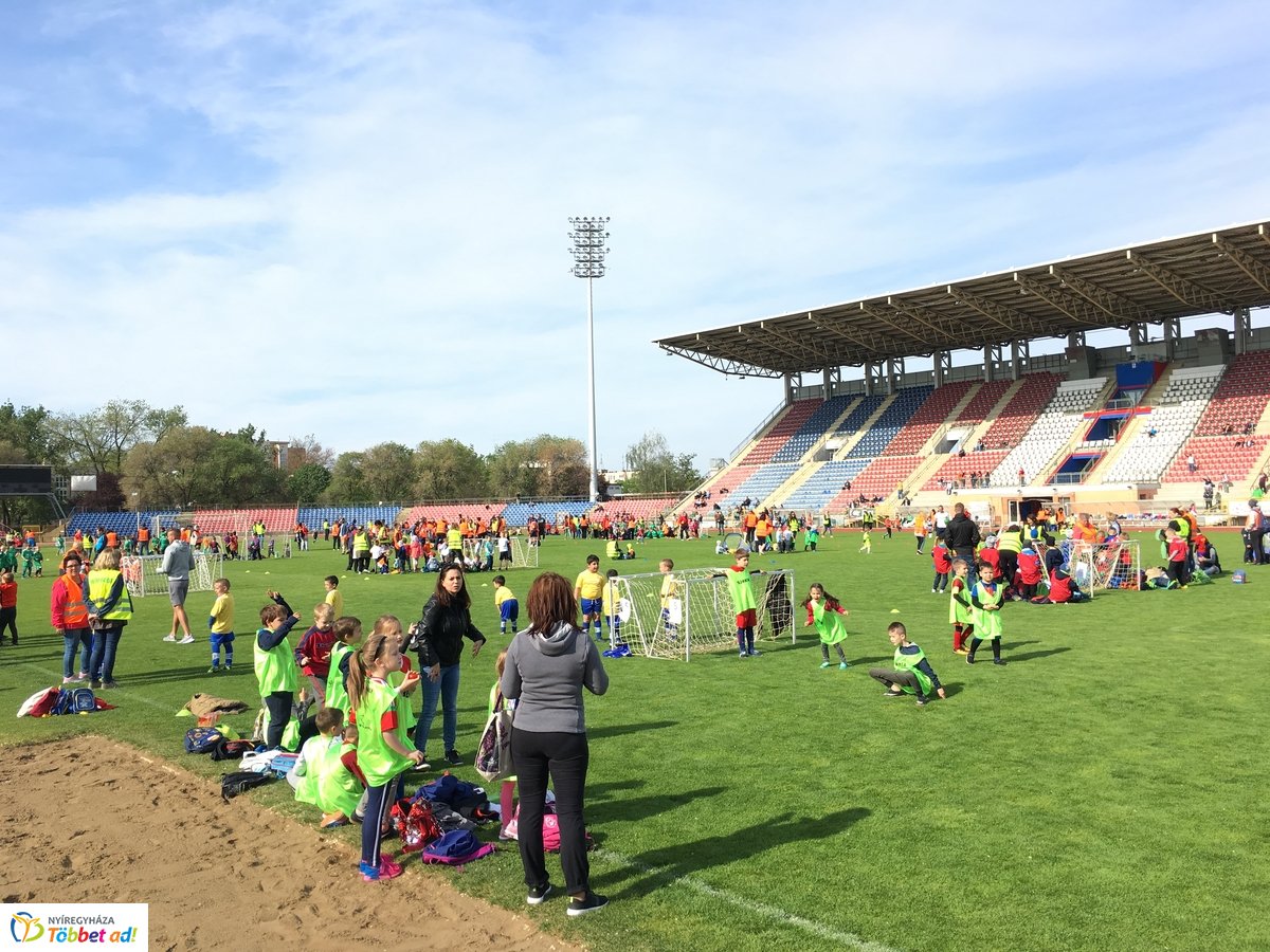 Ovifoci a stadionban - 2019