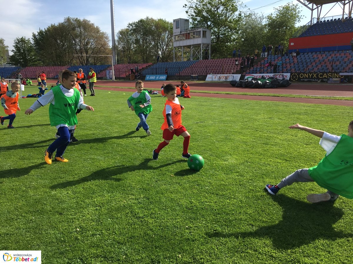 Ovifoci a stadionban - 2019