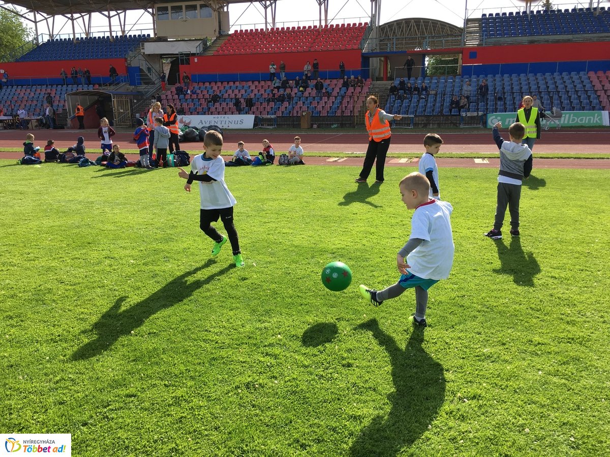 Ovifoci a stadionban - 2019