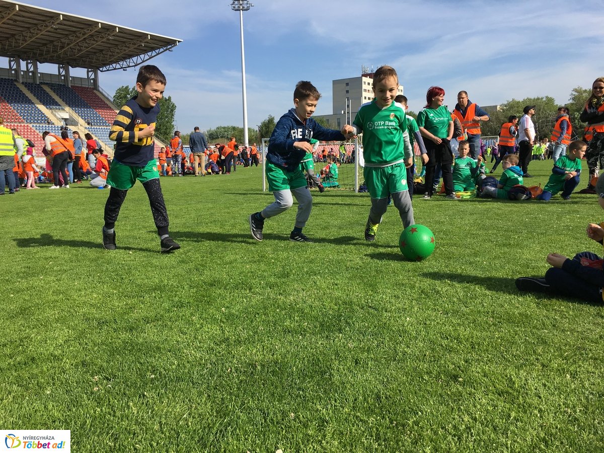 Ovifoci a stadionban - 2019