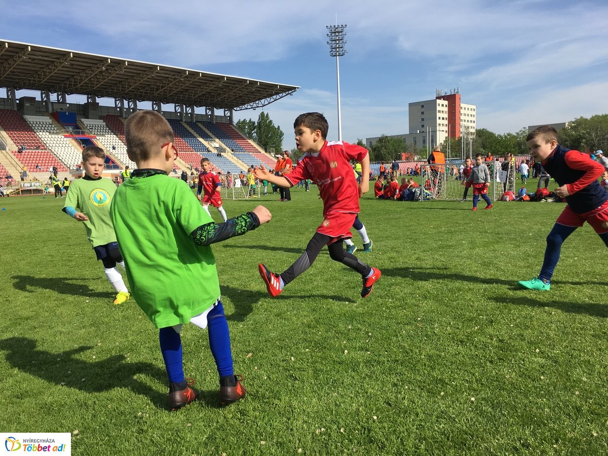 Ovifoci a stadionban - 2019