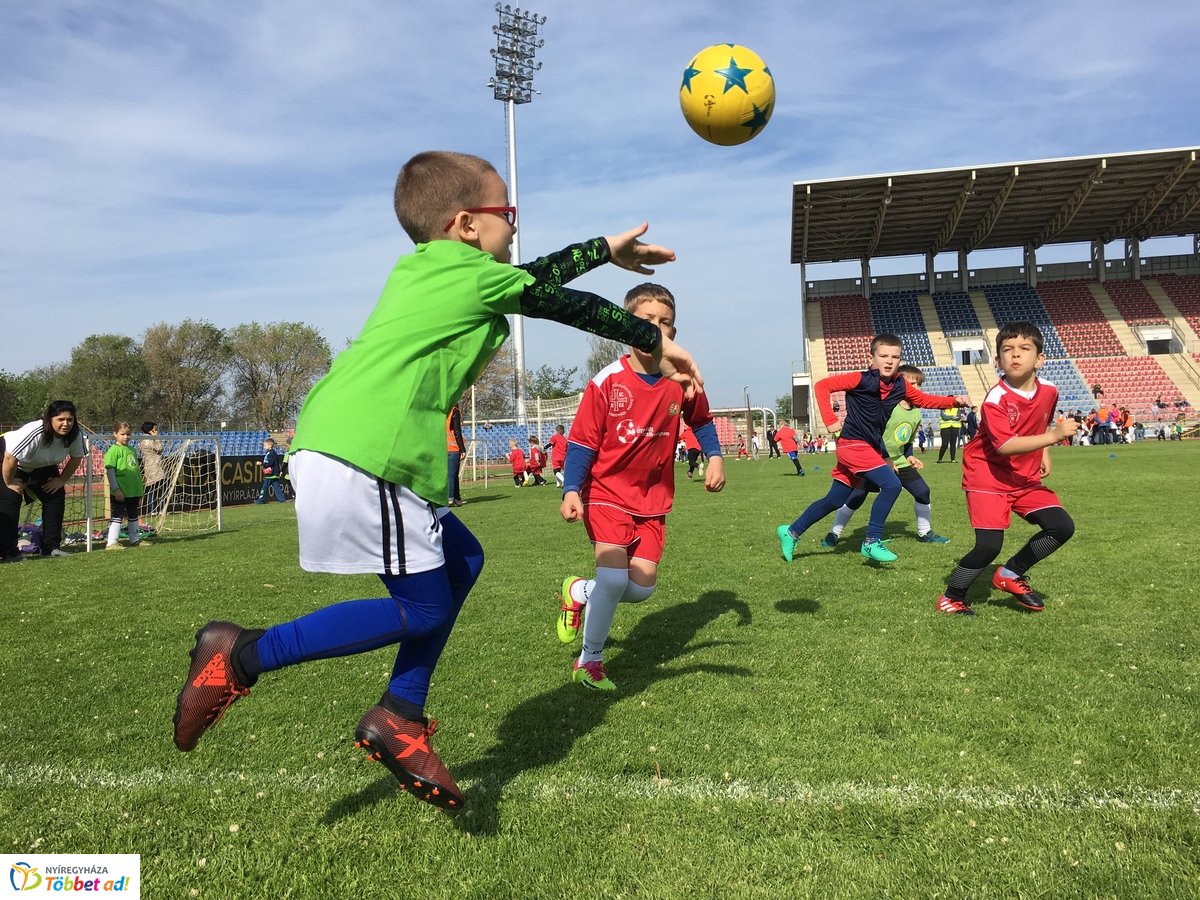 Ovifoci a stadionban - 2019