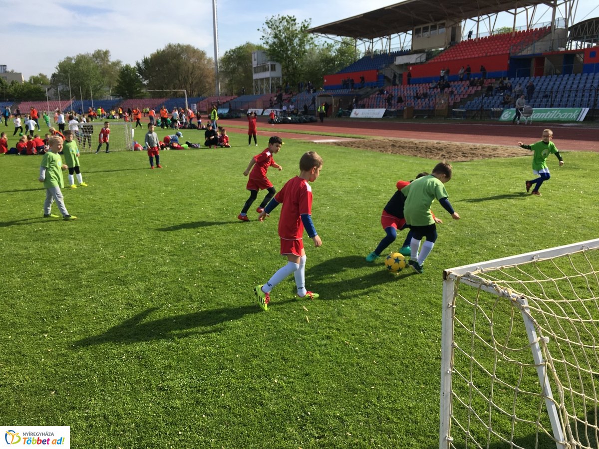 Ovifoci a stadionban - 2019