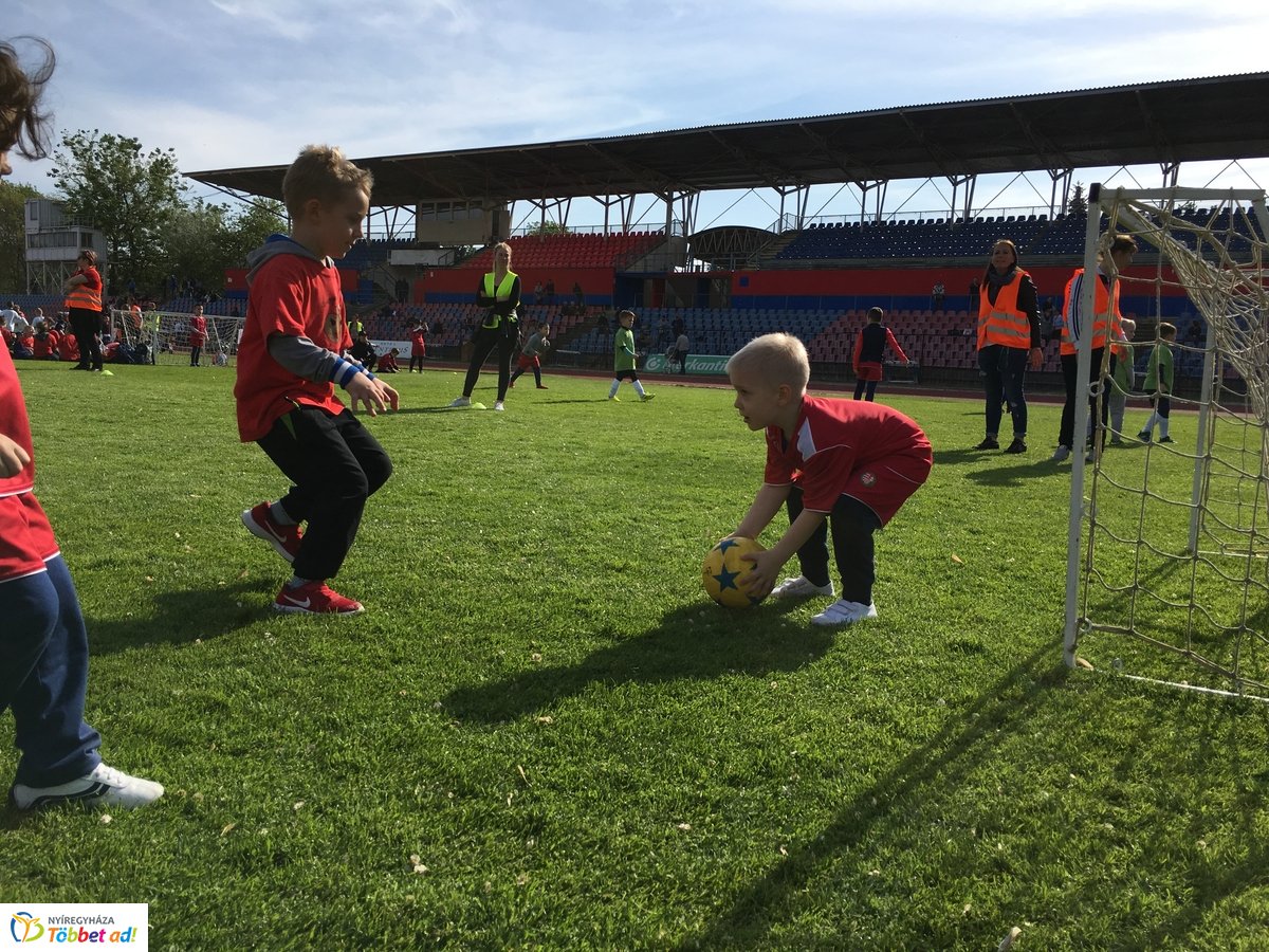 Ovifoci a stadionban - 2019