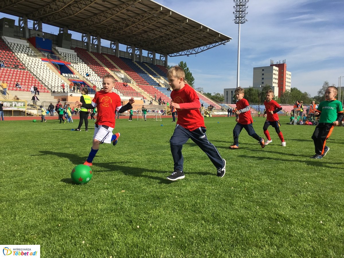 Ovifoci a stadionban - 2019