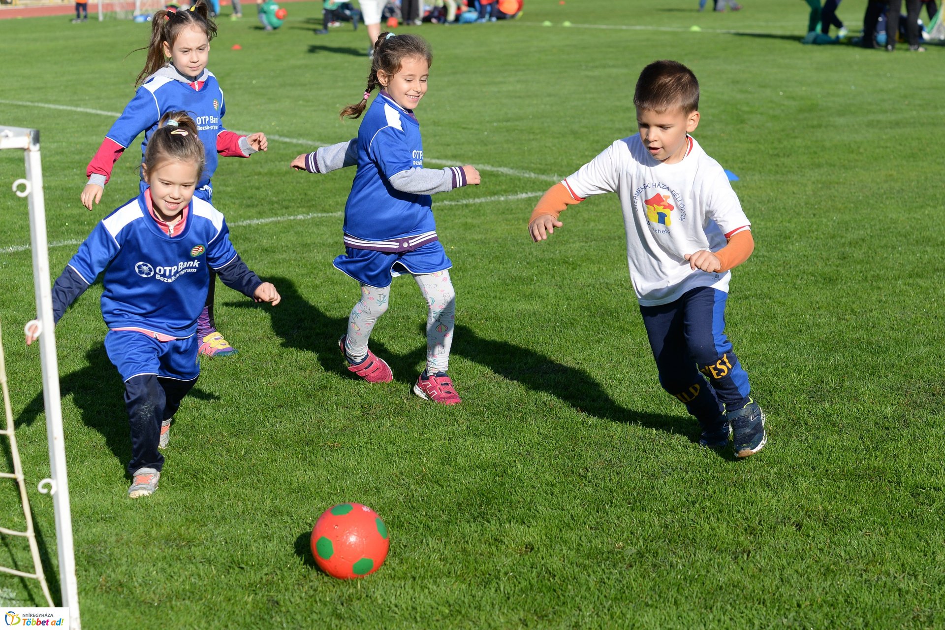 Ovifoci a Városi Stadionban