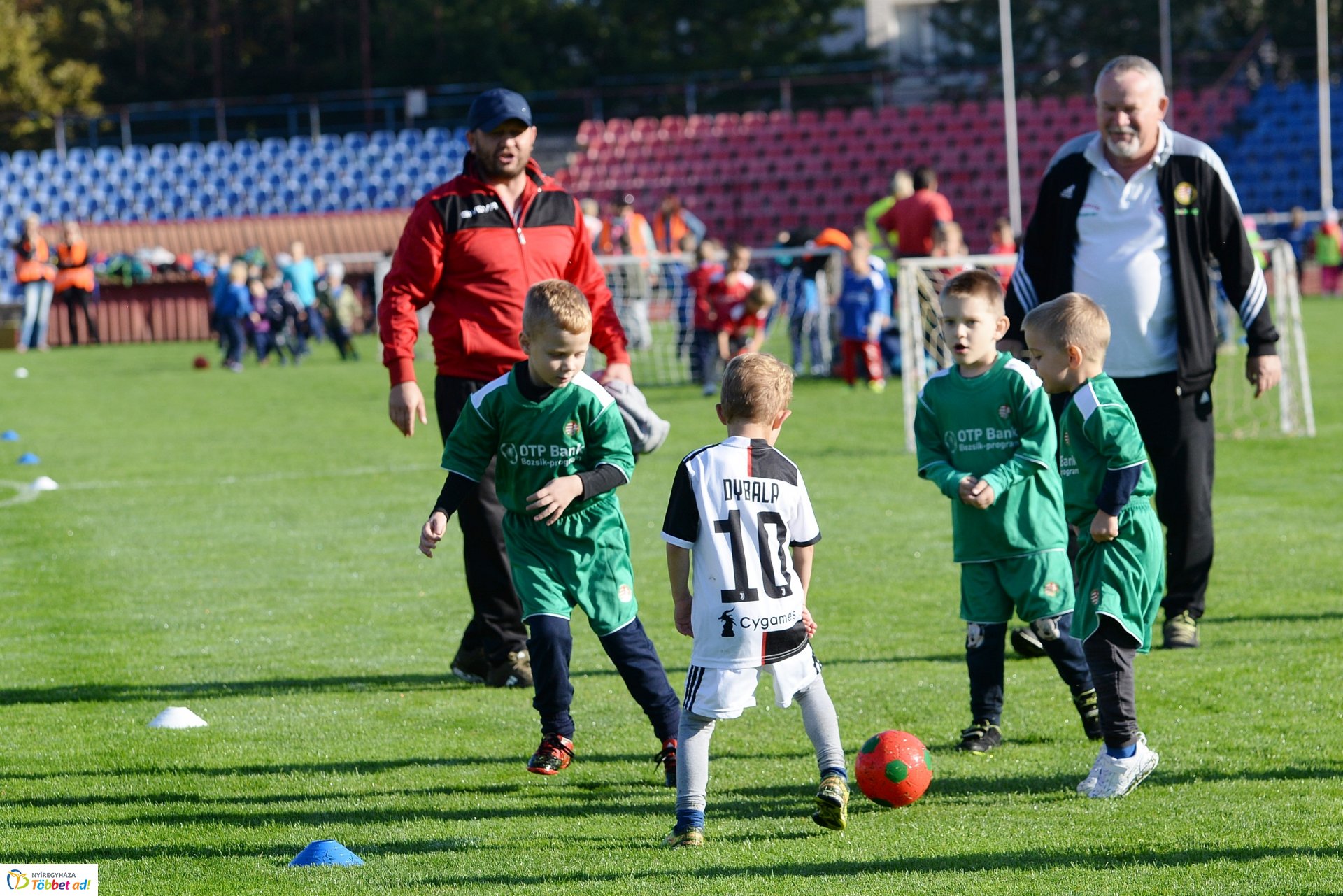 Ovifoci a Városi Stadionban