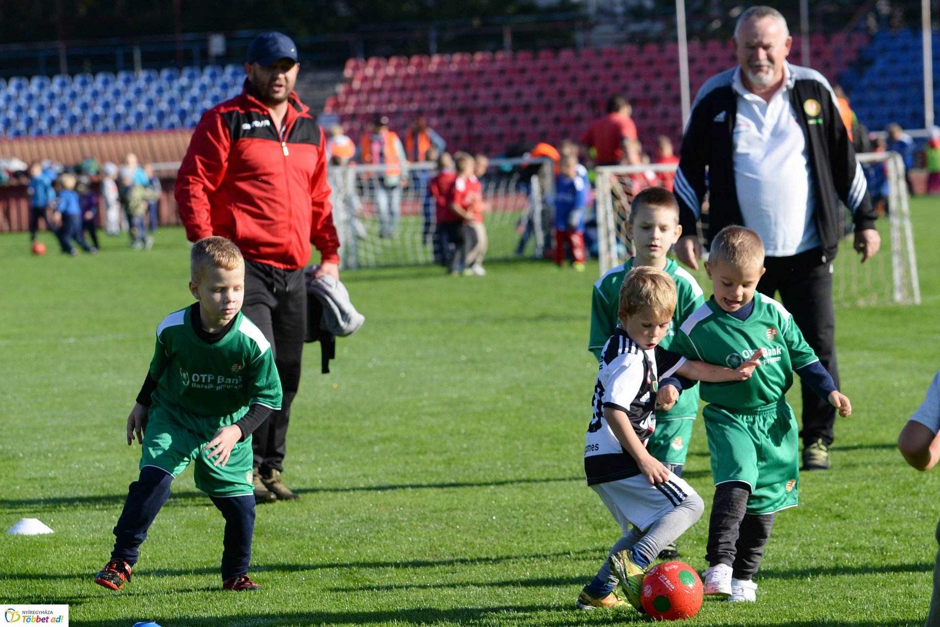 Ovifoci a Városi Stadionban