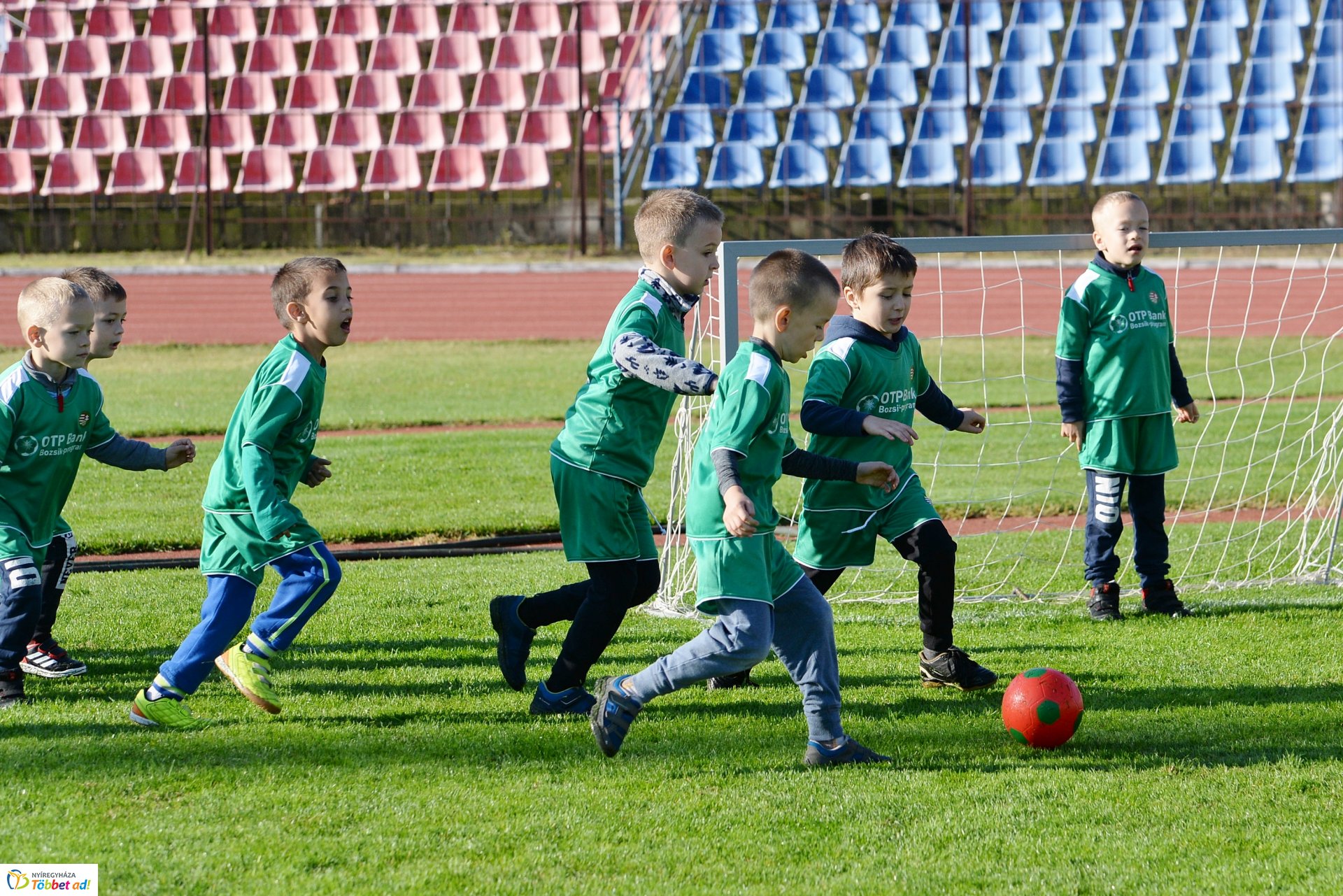 Ovifoci a Városi Stadionban