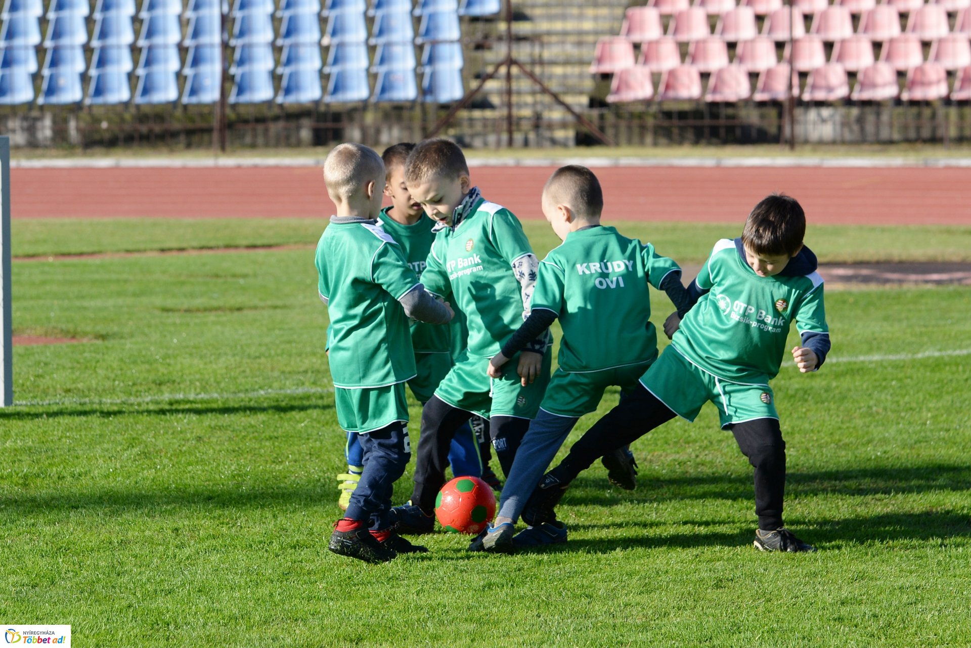 Ovifoci a Városi Stadionban