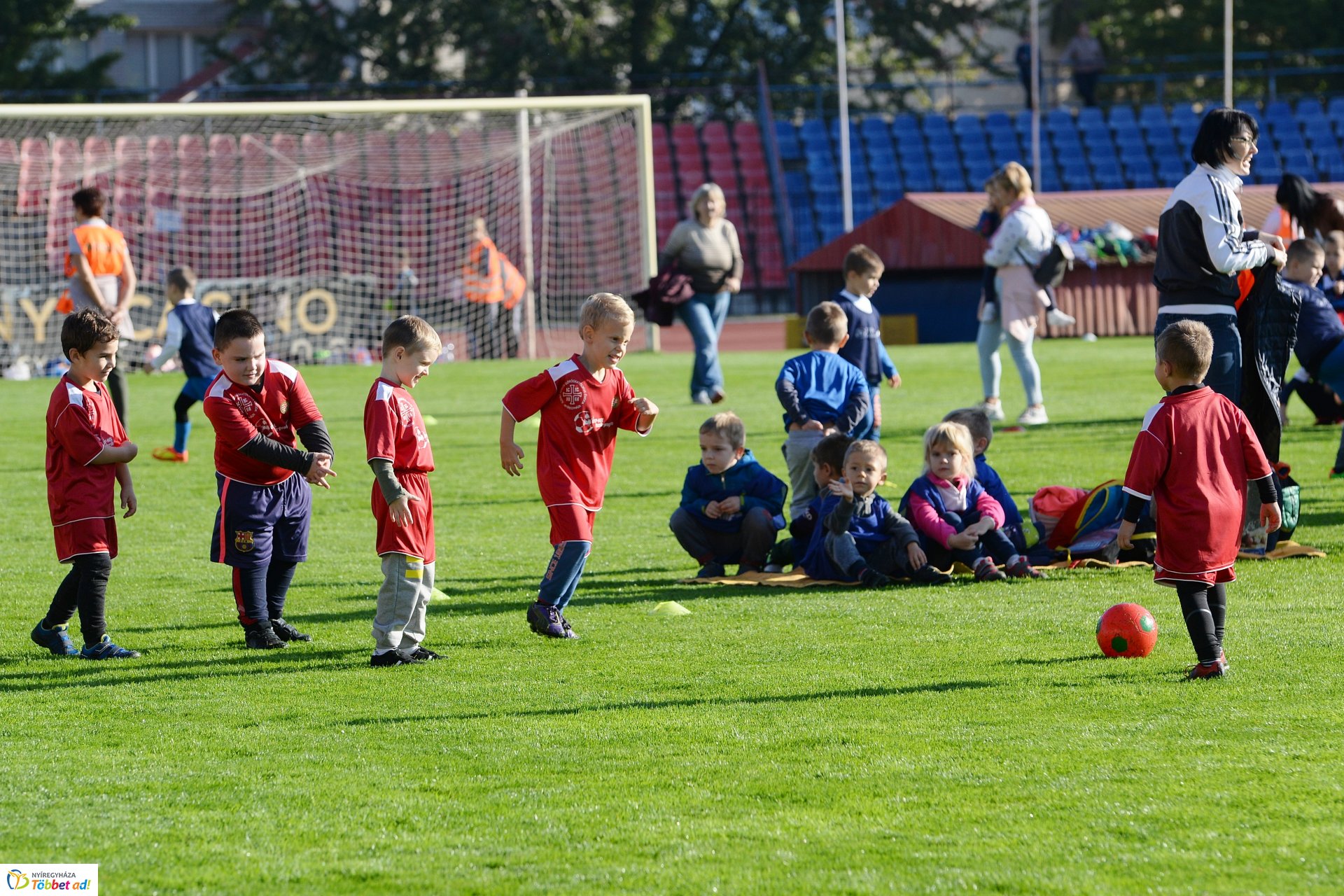 Ovifoci a Városi Stadionban