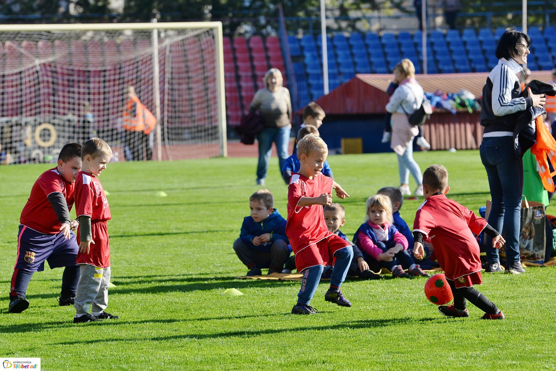 Ovifoci a Városi Stadionban