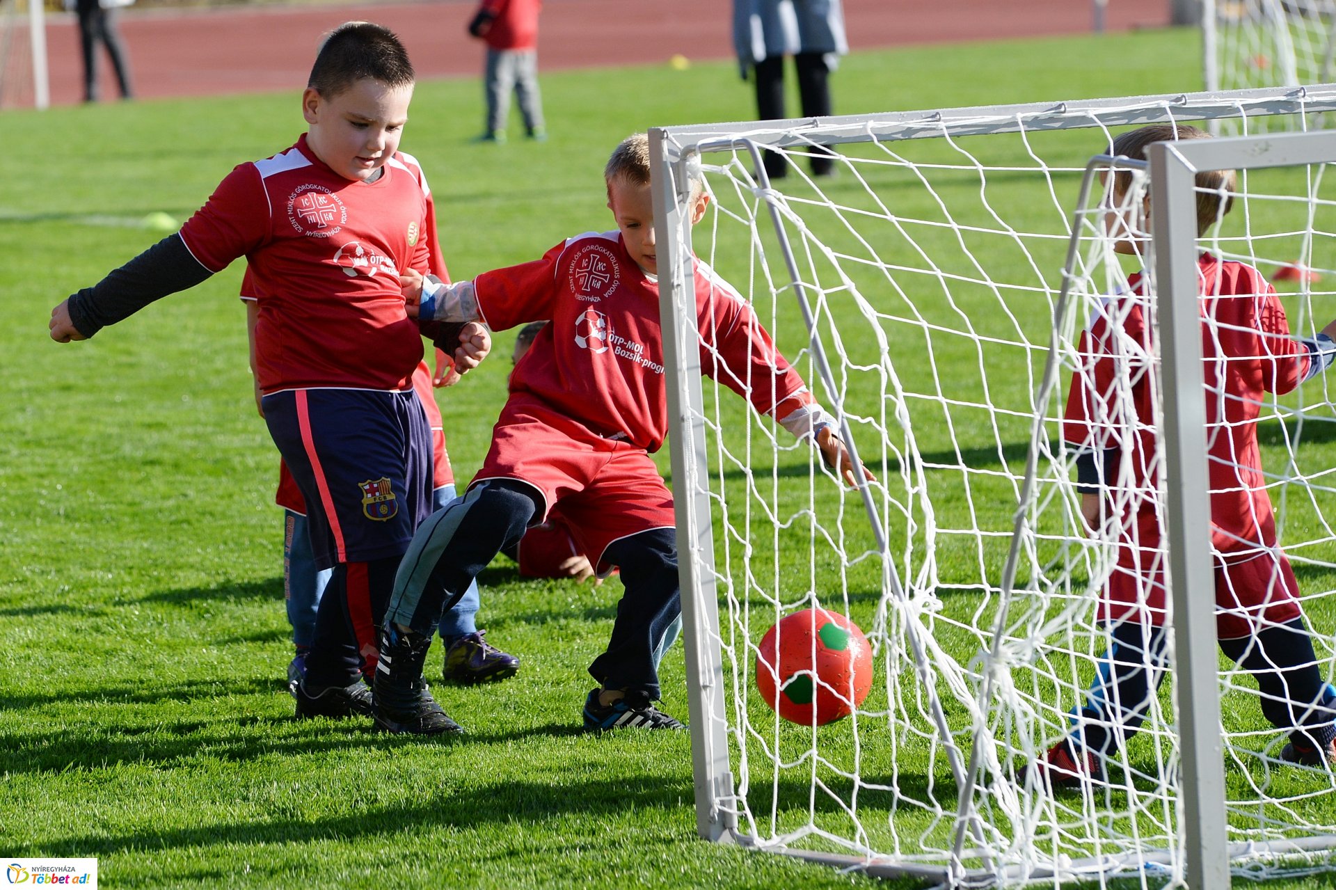 Ovifoci a Városi Stadionban