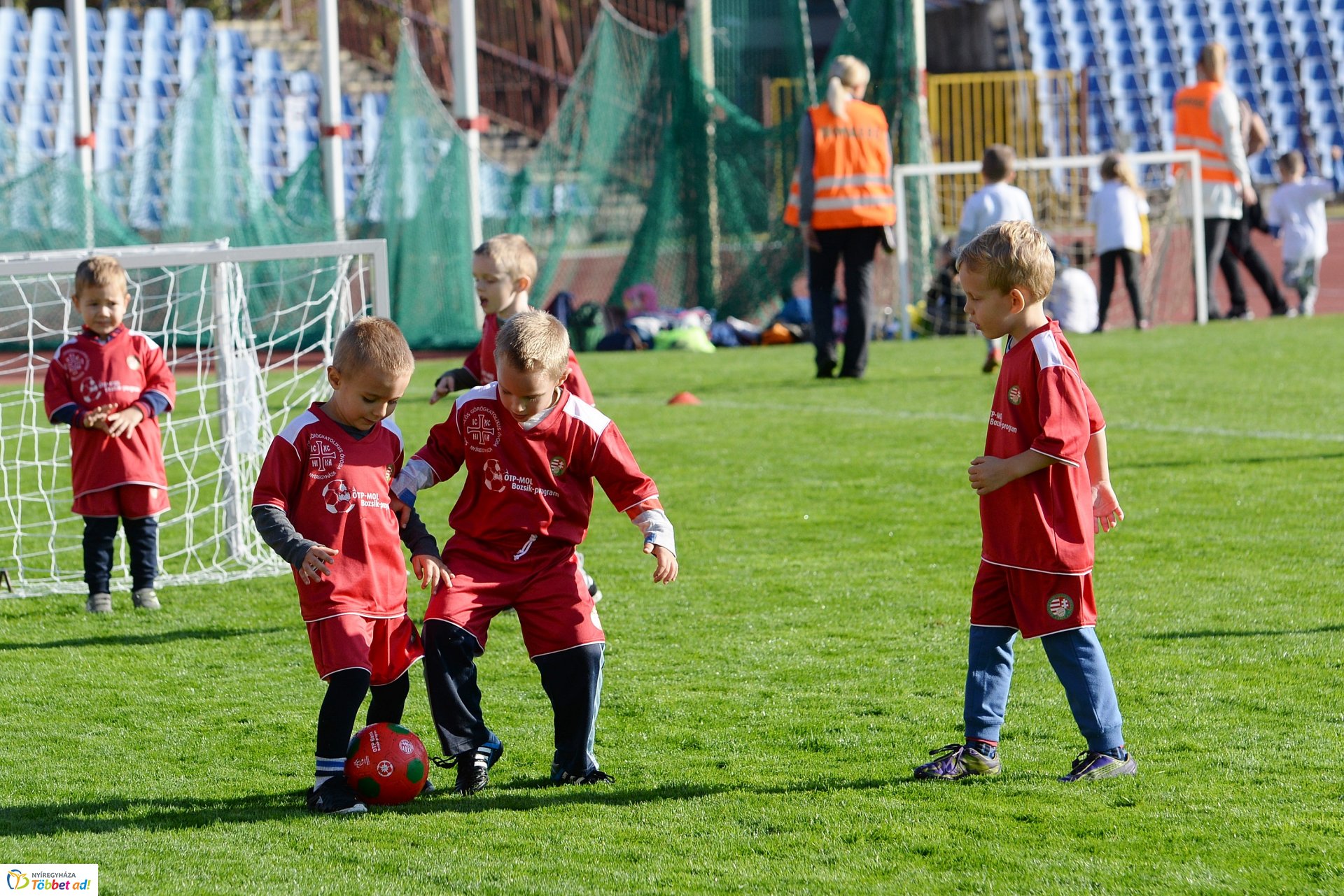 Ovifoci a Városi Stadionban