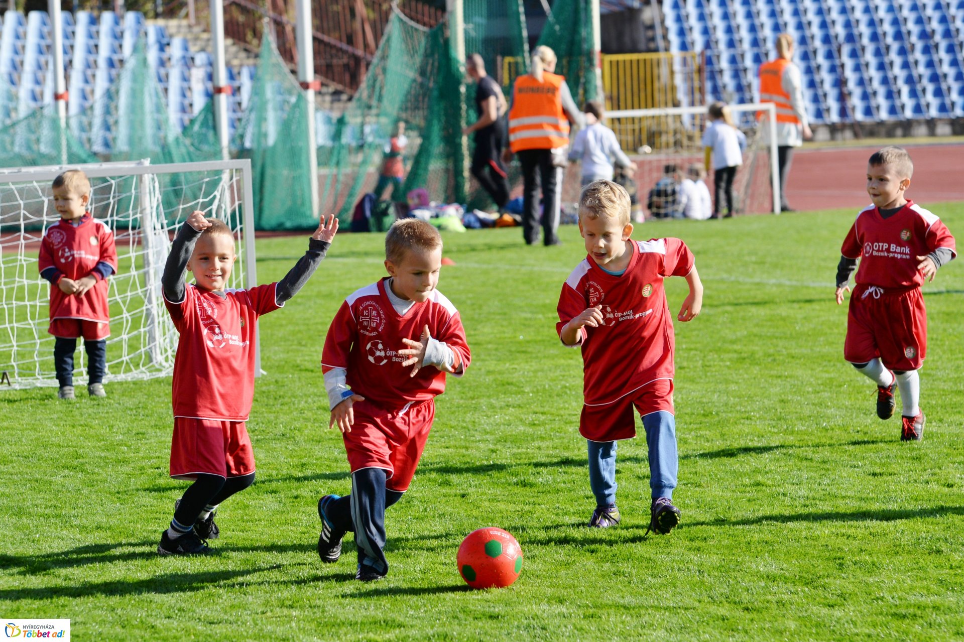 Ovifoci a Városi Stadionban