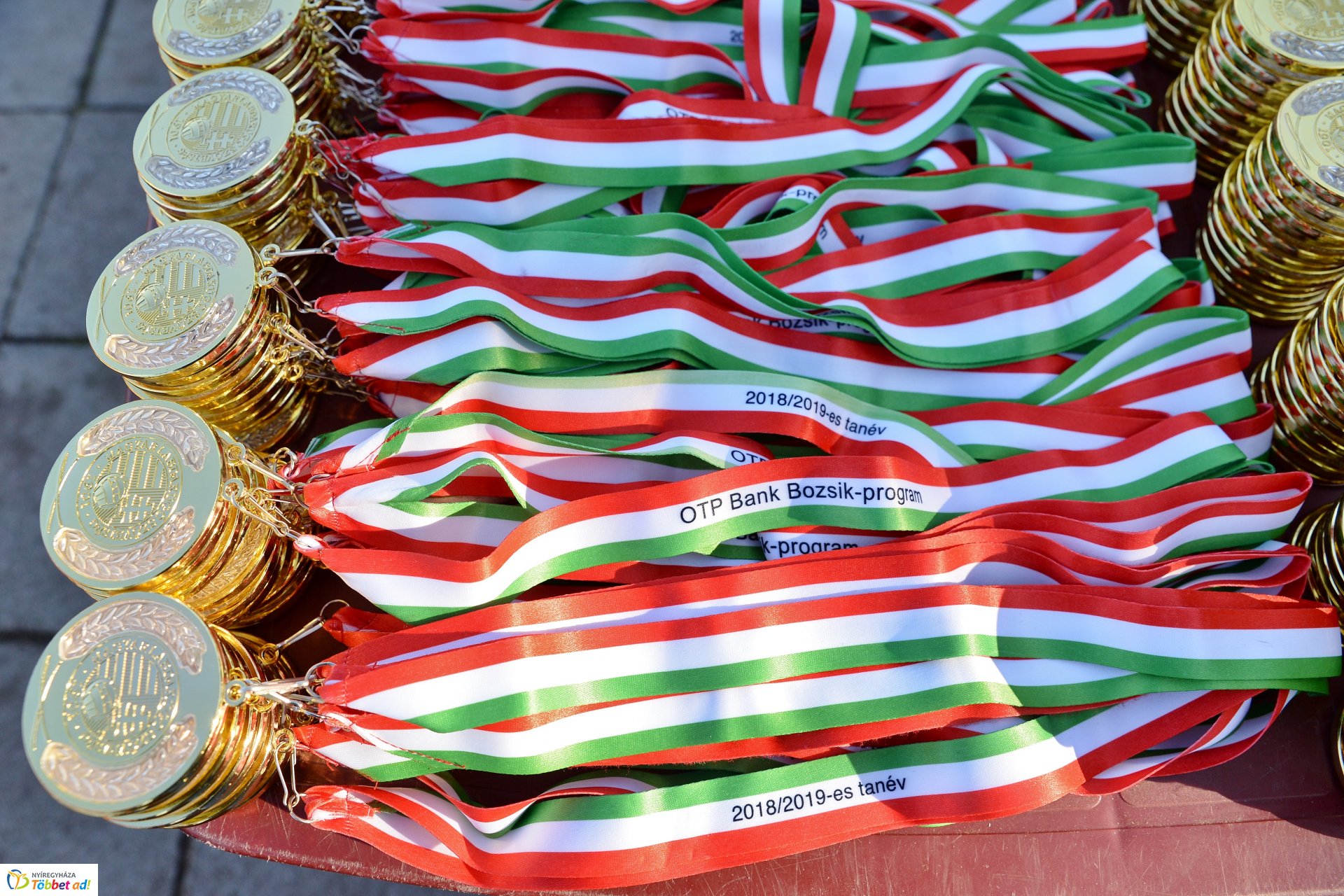 Ovifoci a Városi Stadionban