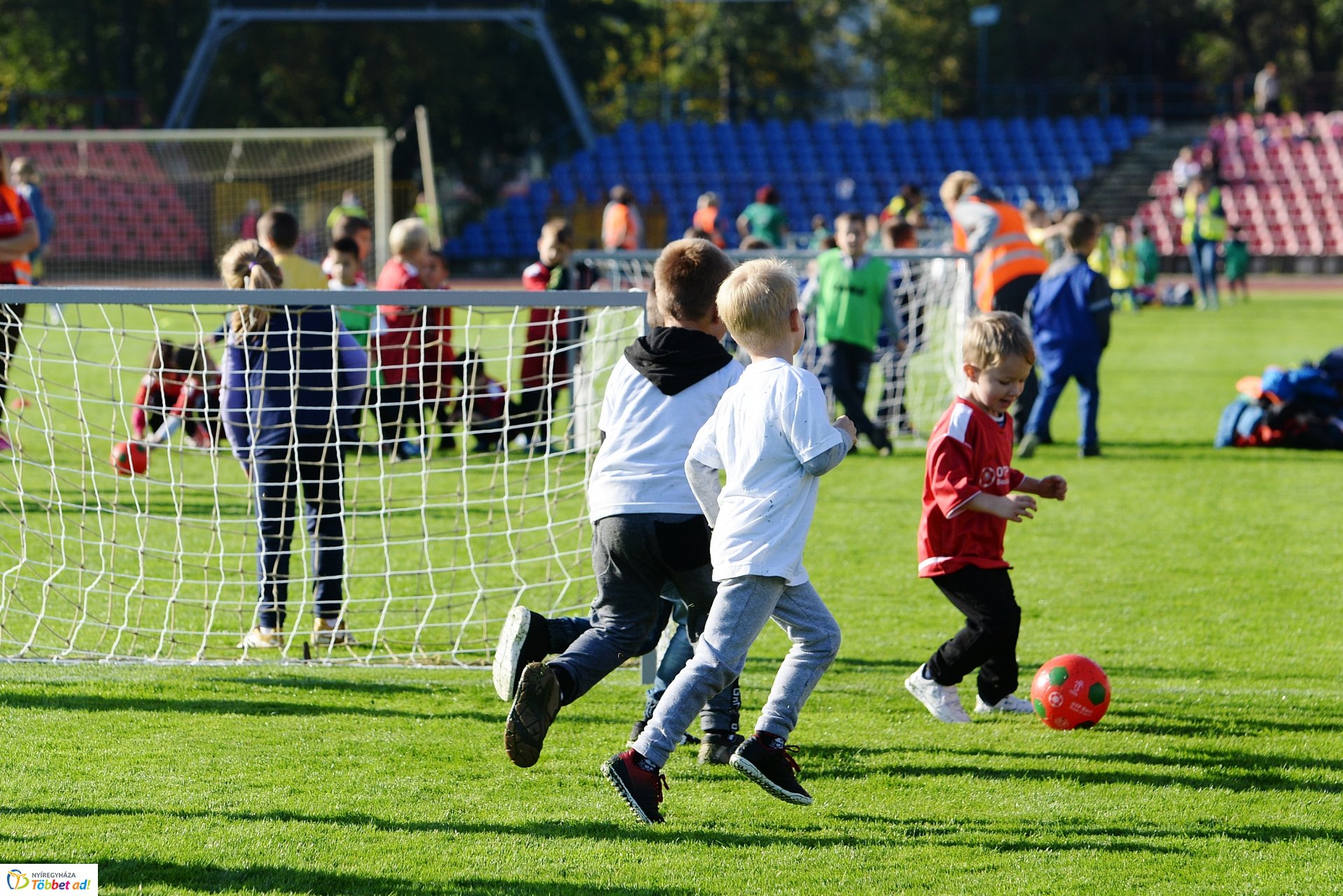 Ovifoci a Városi Stadionban