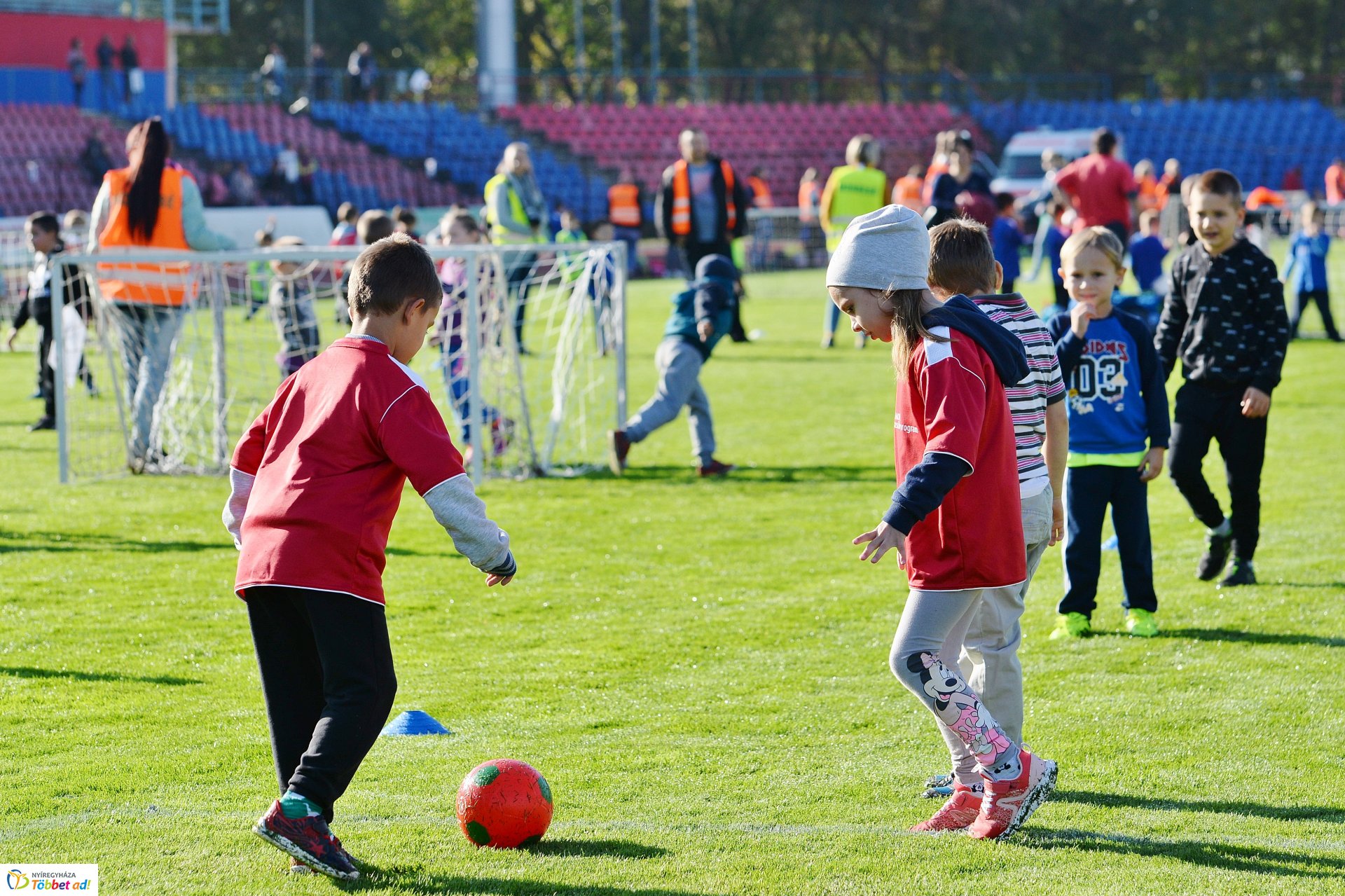 Ovifoci a Városi Stadionban