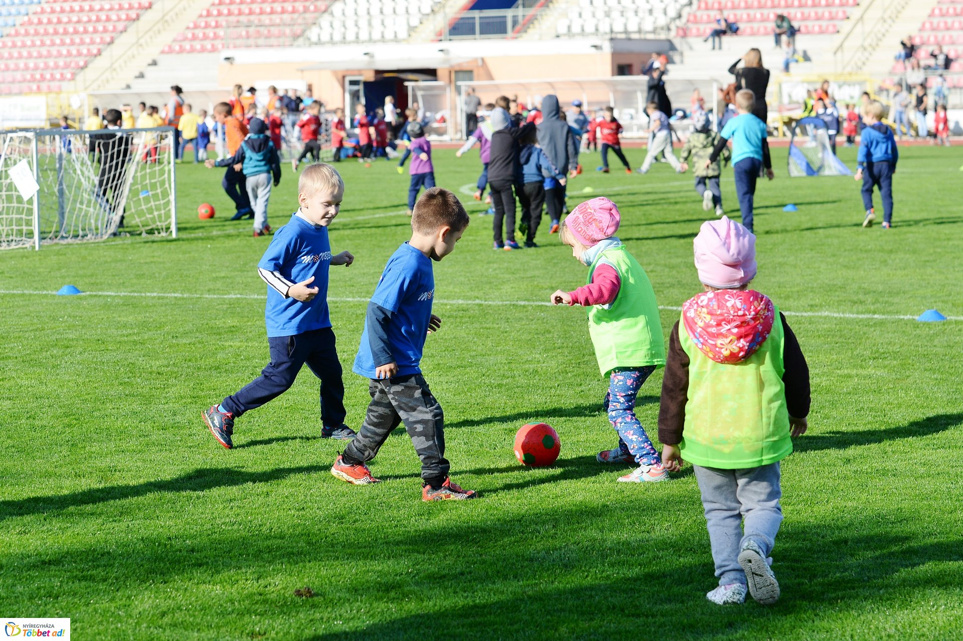 Ovifoci a Városi Stadionban