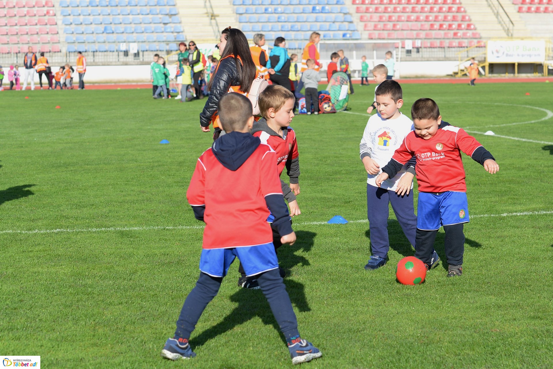 Ovifoci a Városi Stadionban