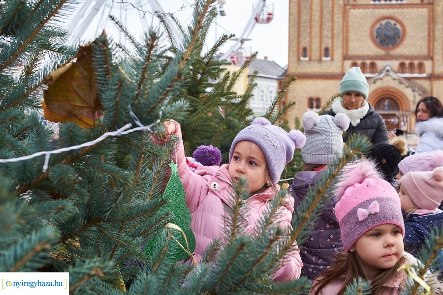 Ovisok díszítették a kis karácsonyfákat 2021